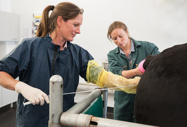 Continuing Professional Development Equine lecture series 2025